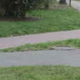 GalleryImage23